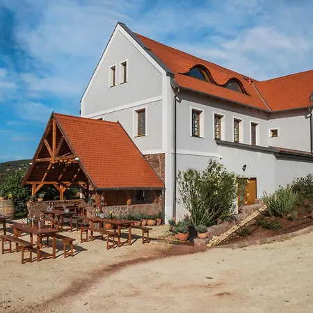 Villa Palo Borbirtok - Bed And Wine Paloznak