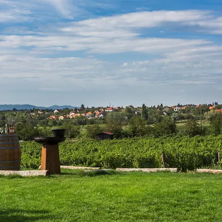 Villa Palo Borbirtok - Bed And Wine Paloznak