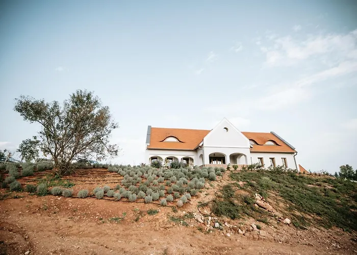 Palo Borbirtok - Bed And Wine וילה *