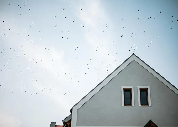 Palo Borbirtok - Bed And Wine פלוזנק